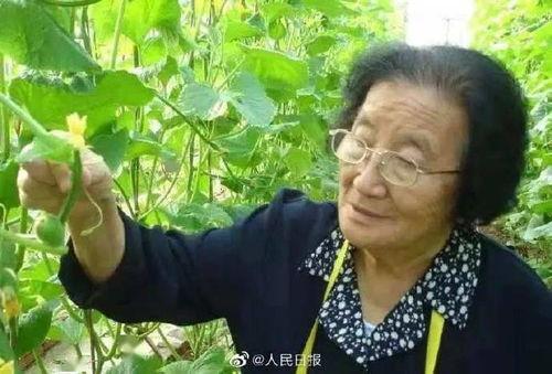 游戏发行人用娱乐吃瓜,揭秘游戏发行人背后的故事