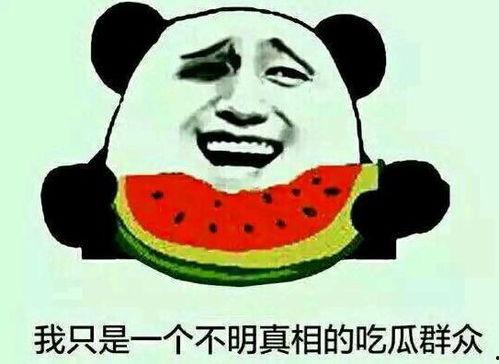 娱乐吃瓜酱你为什么晕车,揭秘明星生活中的小尴尬