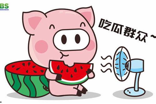 吃瓜娱乐说,吃瓜群众揭秘幕后故事