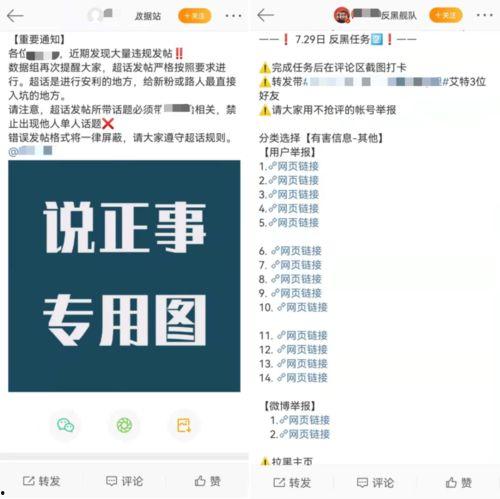 娱乐圈吃瓜营销号是什么,幕后操作与热点追踪