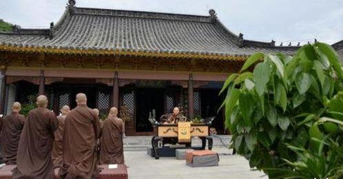 吃瓜寺寺娱乐圈,揭秘娱乐圈幕后故事