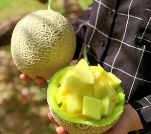 娱乐吃瓜八瓜,吃瓜八瓜，一网打尽明星幕后故事